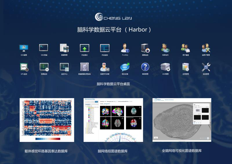 脑科学数据云平台