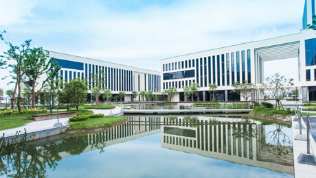 园区LED高效节能全笼罩