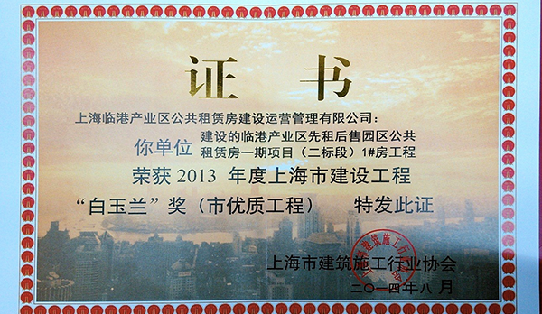 上海市白玉兰奖