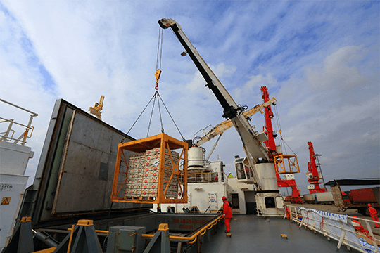 入口水果指定港区